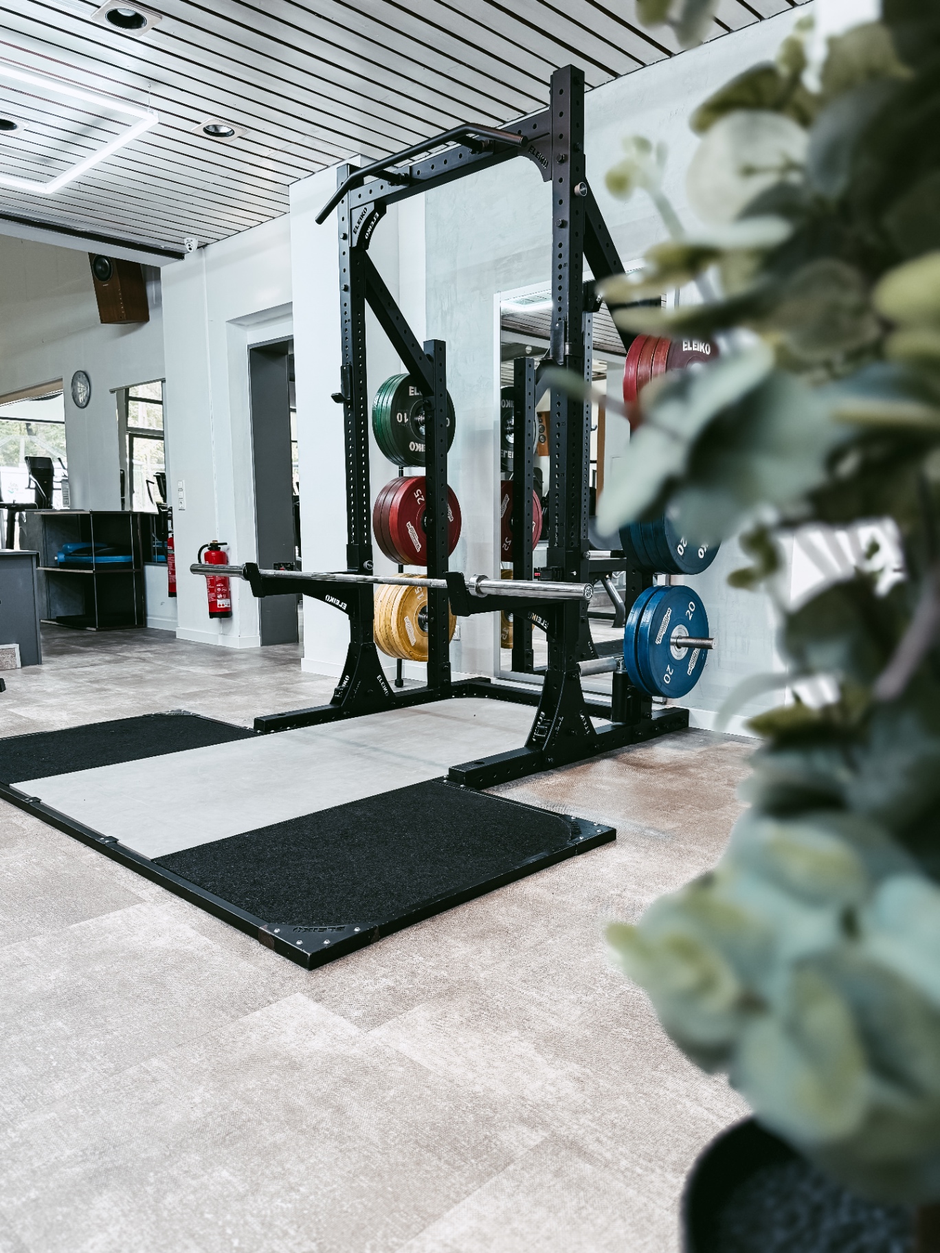 Free Weights Area